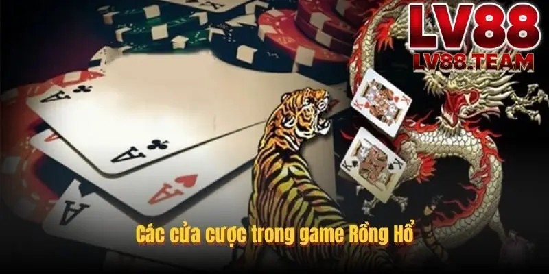 Rồng Hổ LV88 Trò Chơi So Bài Nhanh Gọn, Dễ Hiểu Và Kịch Tính 2 Các cửa cược phổ biến trong Rồng hổ